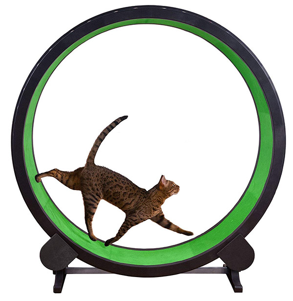 【Amazon】で購入できる世界のオモシロ「猫」グッズ BEST 5