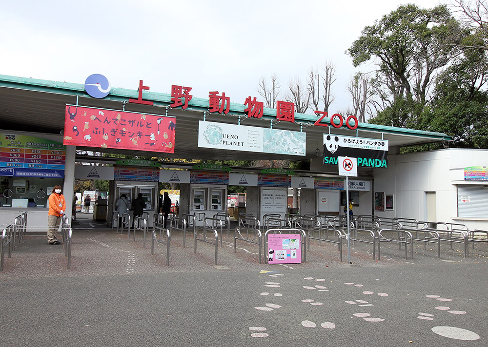 上野動物園が無料になる日って1年で何日くらいあるの？