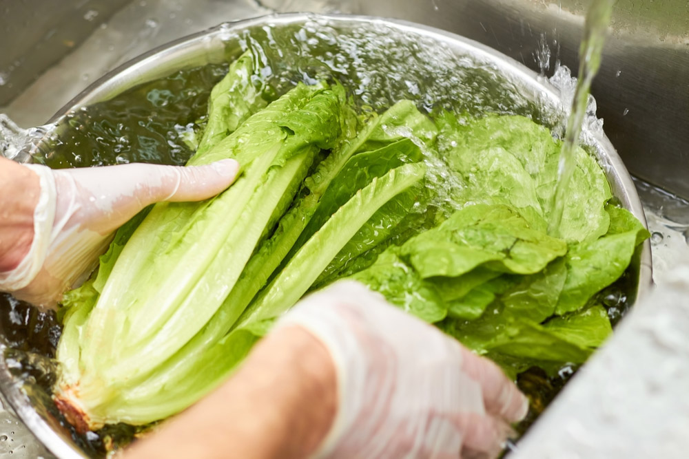 野菜の鮮度を50℃のお湯洗いでシャッキリ感を復活させる【裏ワザ】