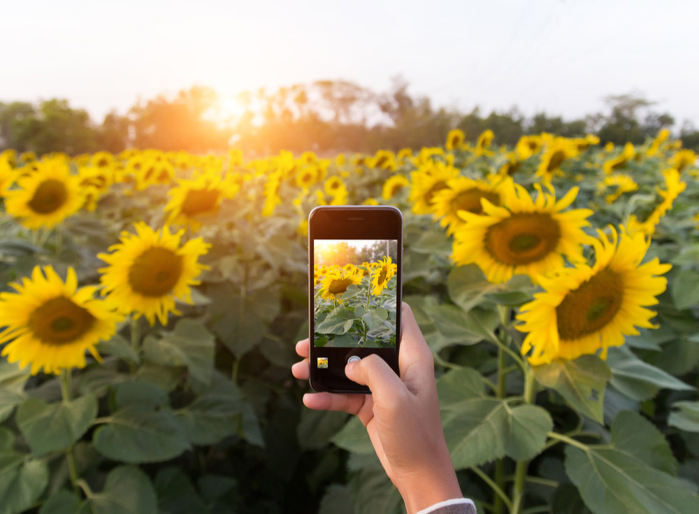 Iphone 背景をボカし被写体をより際立たせた美しい写真を撮りたい Otona Life オトナライフ Otona Life オトナライフ