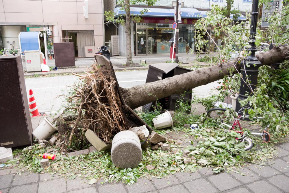 知っておきたい台風被害の保険！　隣家との破損トラブルの責任はどうなるの？