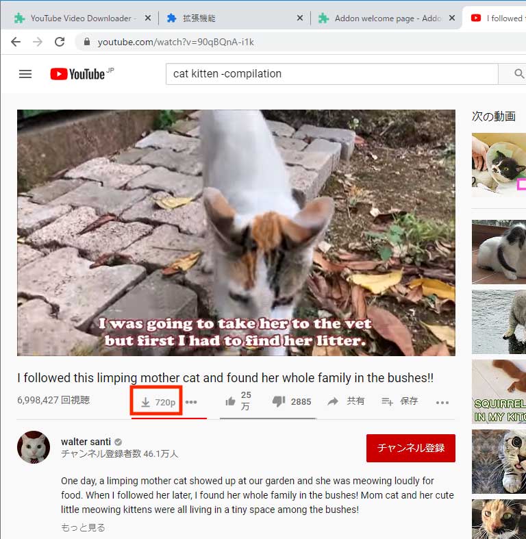 YouTube動画をChrome（クローム）で禁断の拡張機能を利用してダウンロードする方法！