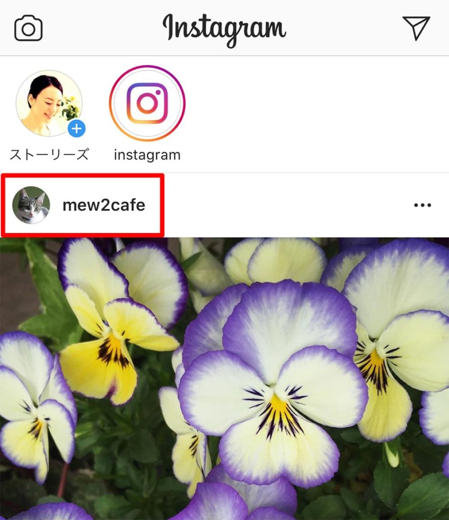 インスタグラム(Instagram)で友達の投稿やストーリーズを見逃さないための通知設定方法