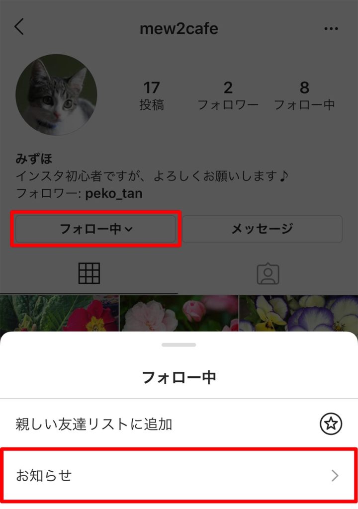 インスタグラム(Instagram)で友達の投稿やストーリーズを見逃さないための通知設定方法