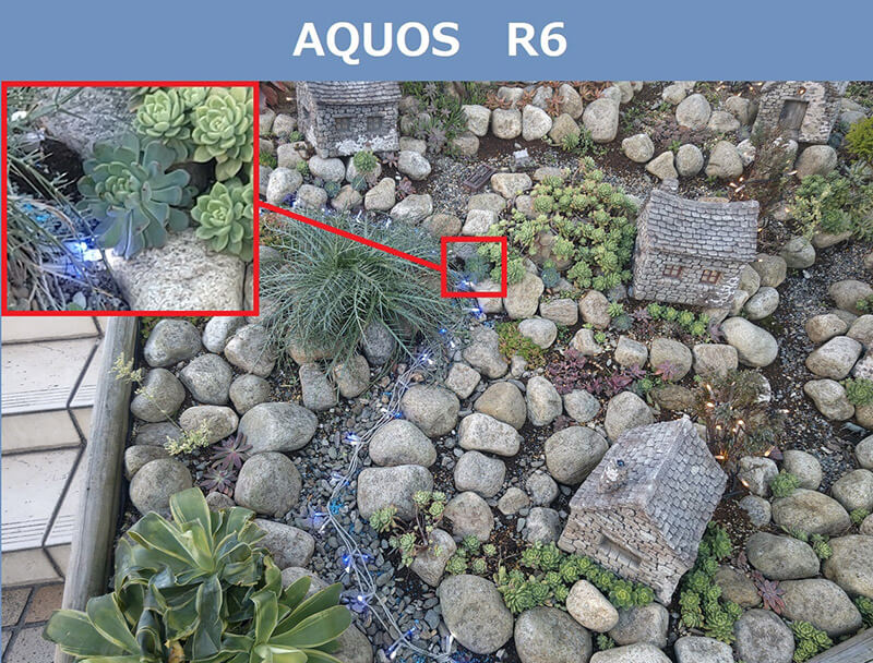 AQUOS R6で撮った「電飾」のiPhone 13 Pro Maxとの比較写真