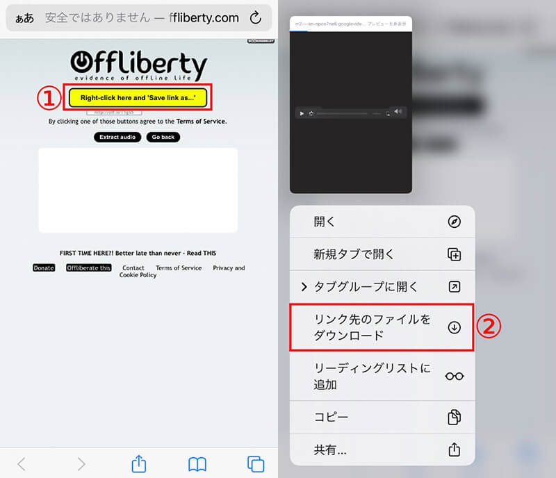 「Offliberty」経由でYouTube動画をダウンロードする方法2