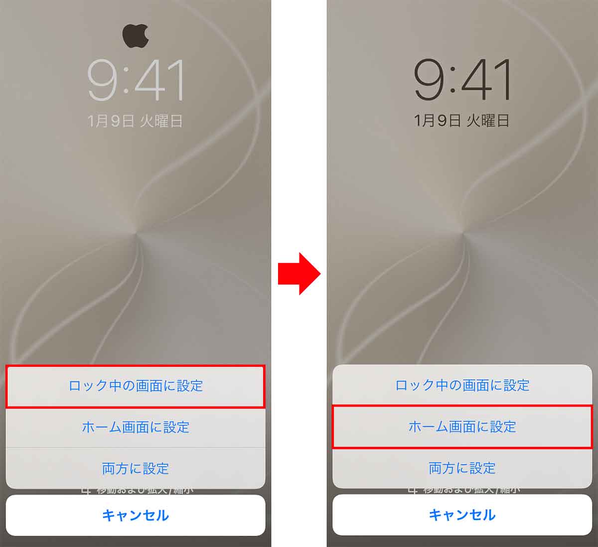 「プライバシー壁紙」をiPhoneに設定する方法3