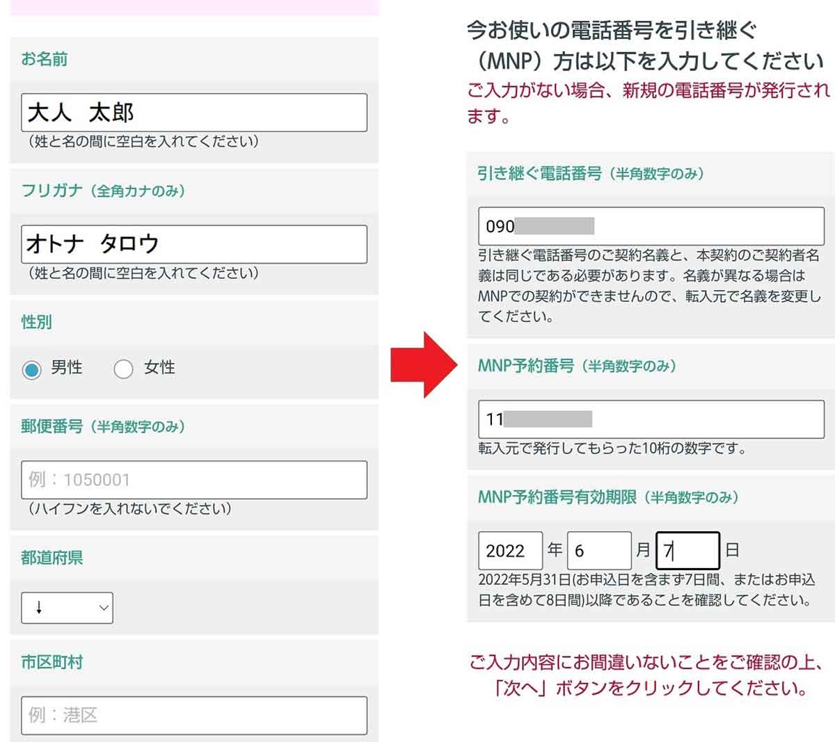 日本通信の「合理的シンプル290プラン」を申し込む手順7
