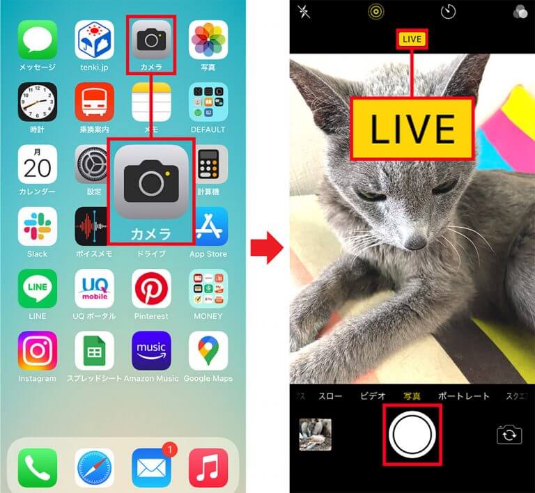 iPhoneの「Live Photos」の基本操作とエフェクトの使い方を解説 OTONA LIFE オトナライフ
