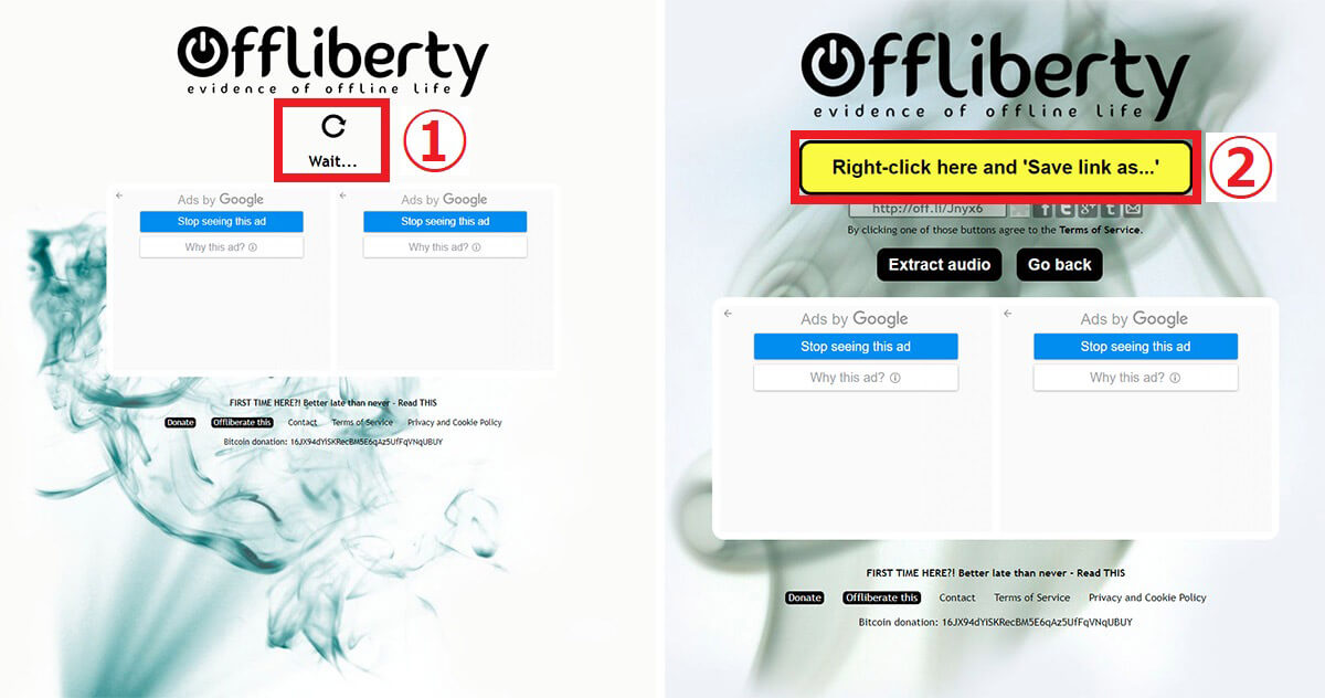 「Offliberty」で保存可能な動画プラットフォームの例1