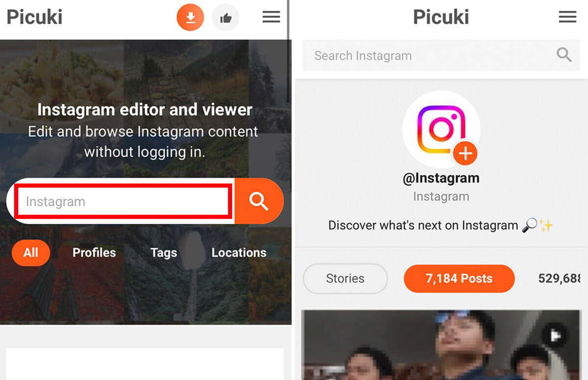 「Picuki」を使ってフィード/ストーリー/リールを閲覧する方法1
