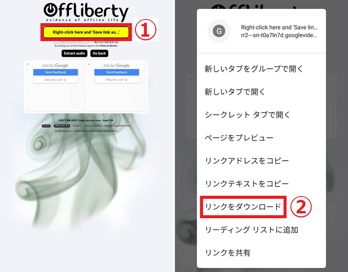 「Offliberty」を使ってAndroidでYouTube動画をダウンロードする方法2