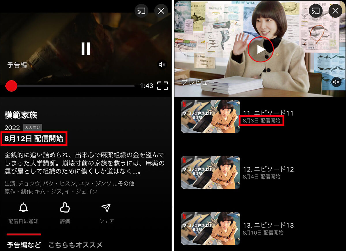 Netflix配信時間に最新話が更新されない原因/対処法は?「オリジナル」か「ライセンス作」か確認1