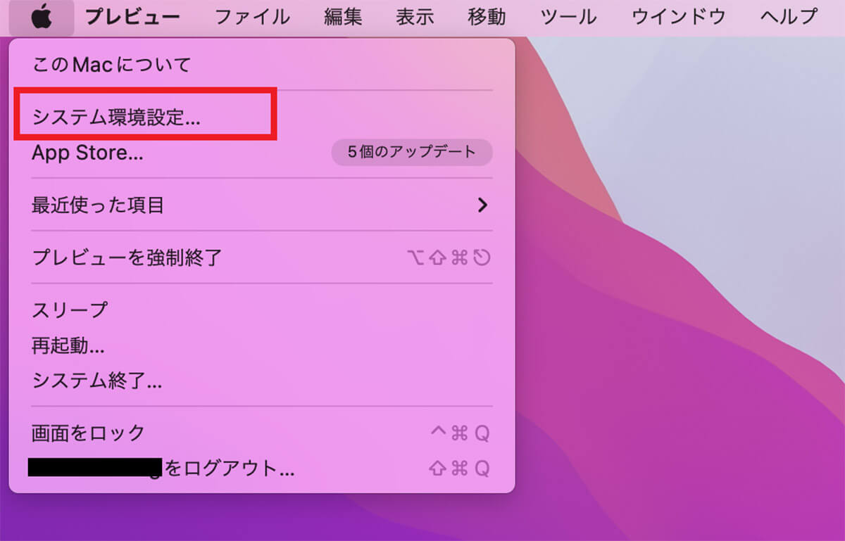 【手順①】アップルメニューの「システム環境設定」をクリック2