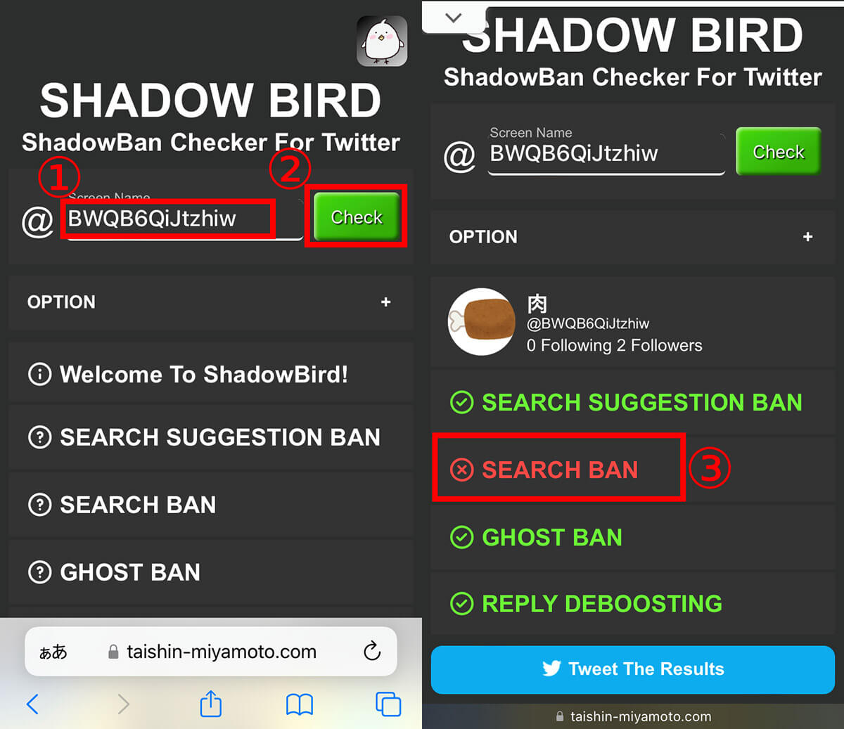 Shadow Birdを利用してチェックする方法1