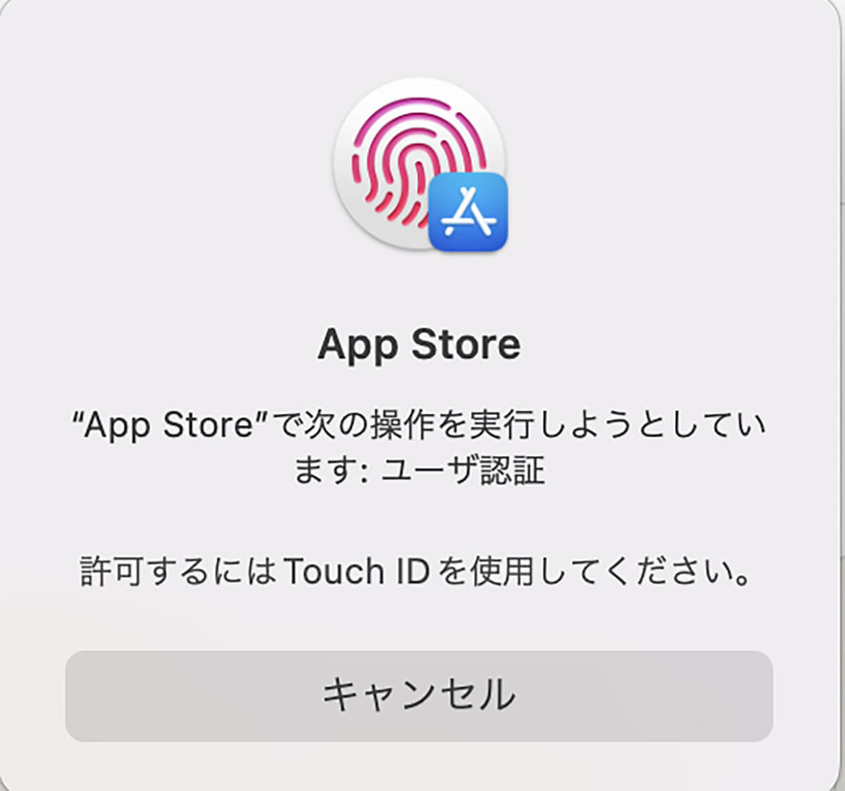 有料アプリのダウンロード/インストール手順4