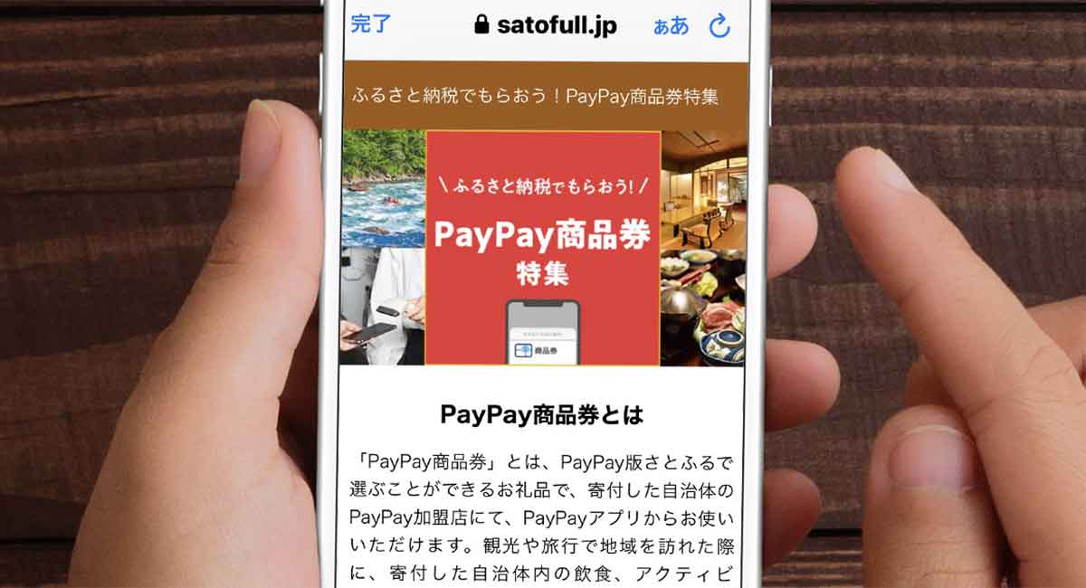 ふるさと納税 奈良市 奈良県奈良市 PayPay商品券(9,000円分
