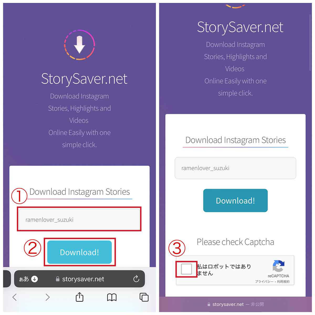 【外部サイト】StorySaver.netを利用する1