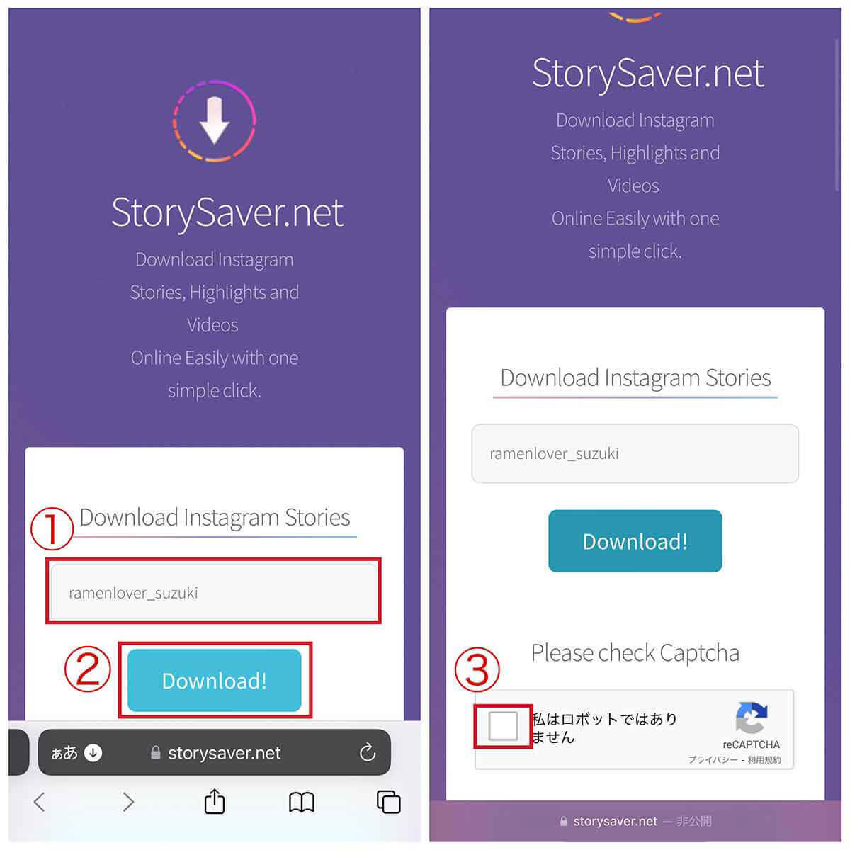 StorySaver.net | 「私はロボットではありません」へチェックが必要1