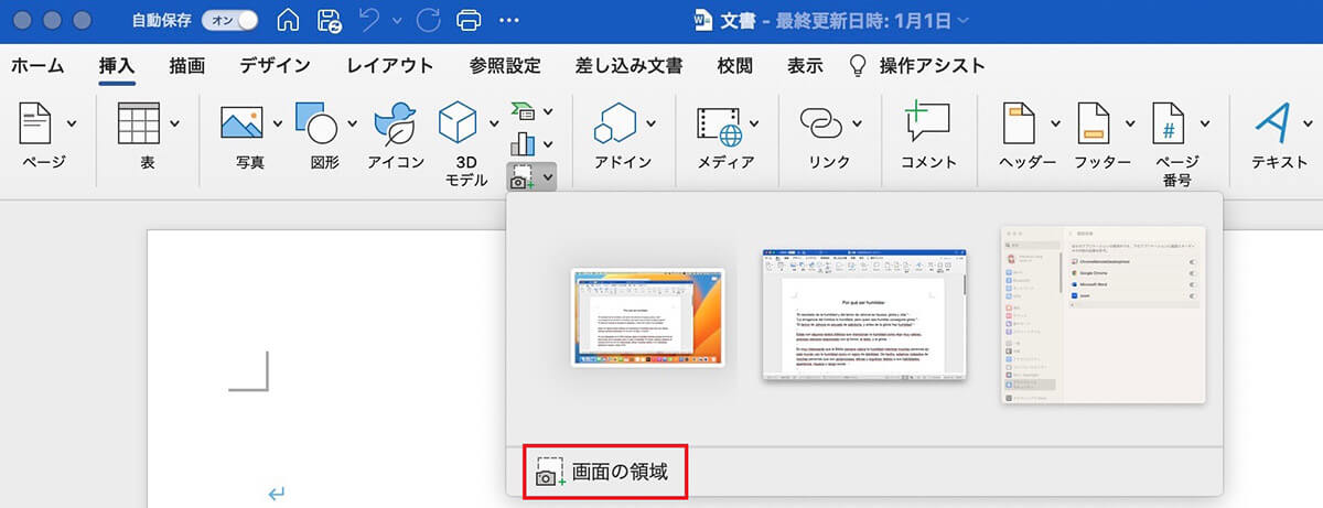 Microsoft Officeのスクリーンショット機能を使って撮影する方法3