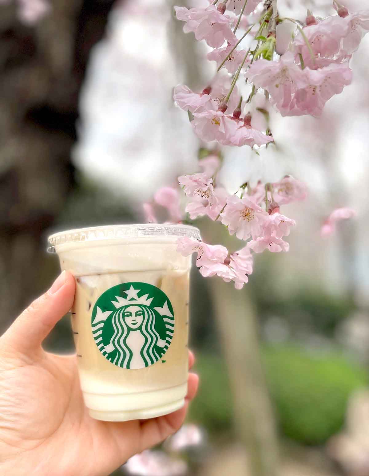 桜などの自然を背景にすれば華やかな写真に