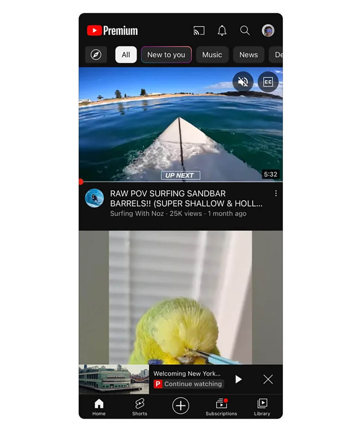 YouTube Premium　5つの新機能-4