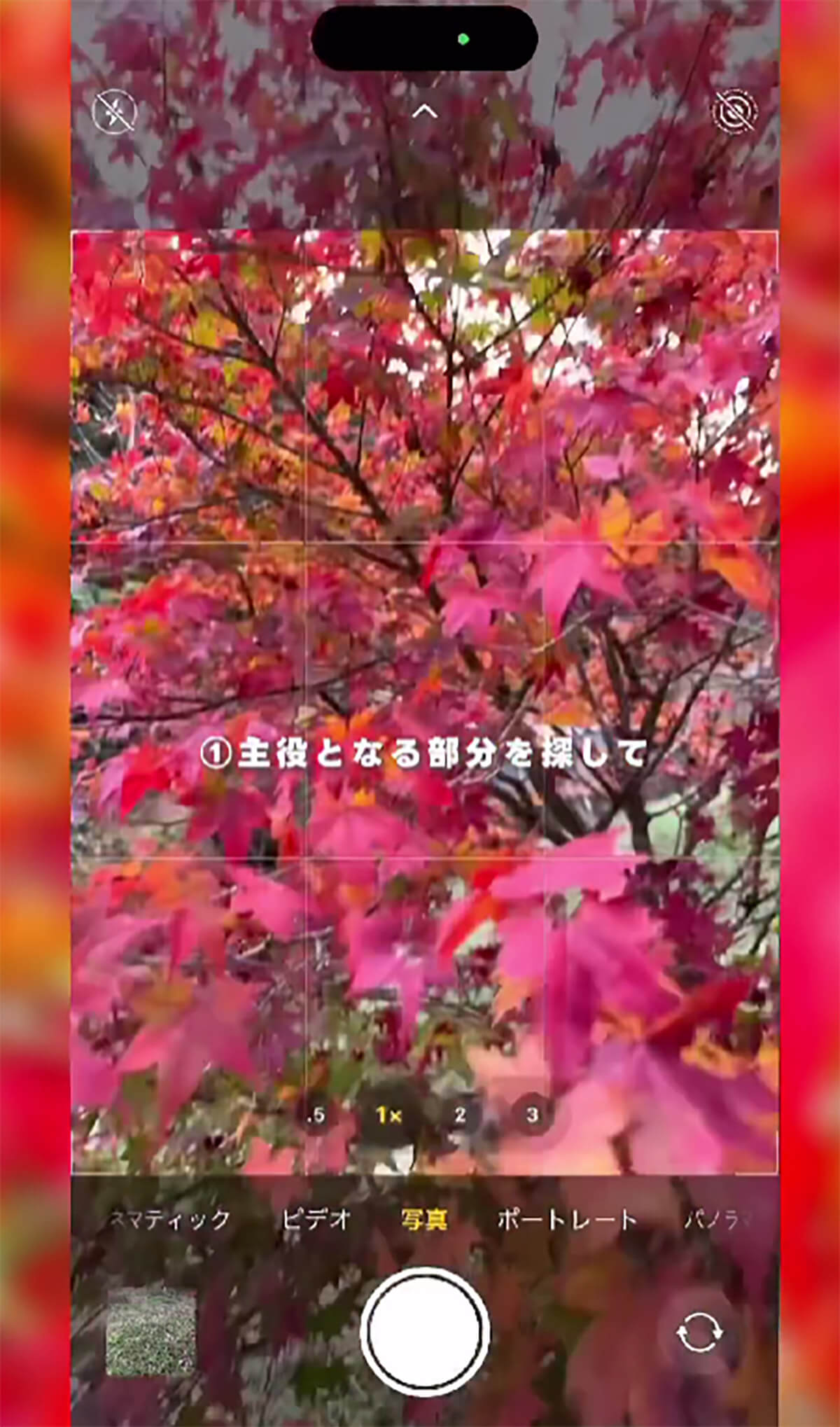  iPhoneのカメラで紅葉を綺麗に撮影する方法1