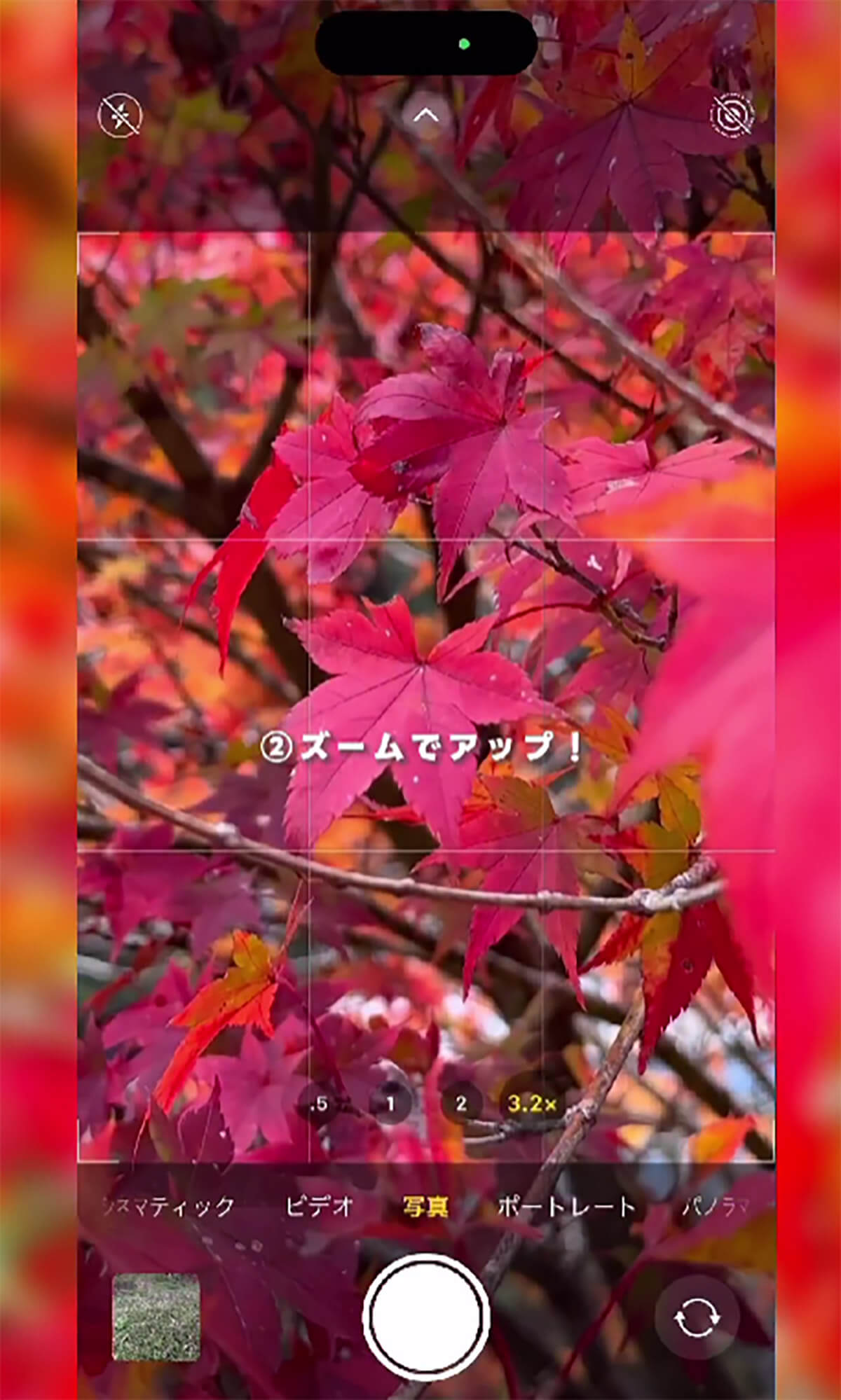  iPhoneのカメラで紅葉を綺麗に撮影する方法2