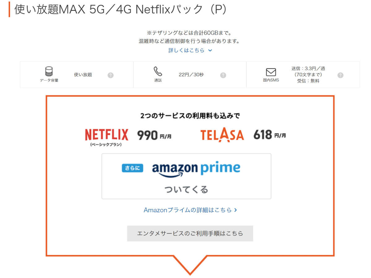 au：使い放題MAX 5G/4G Netflixパック（P）1