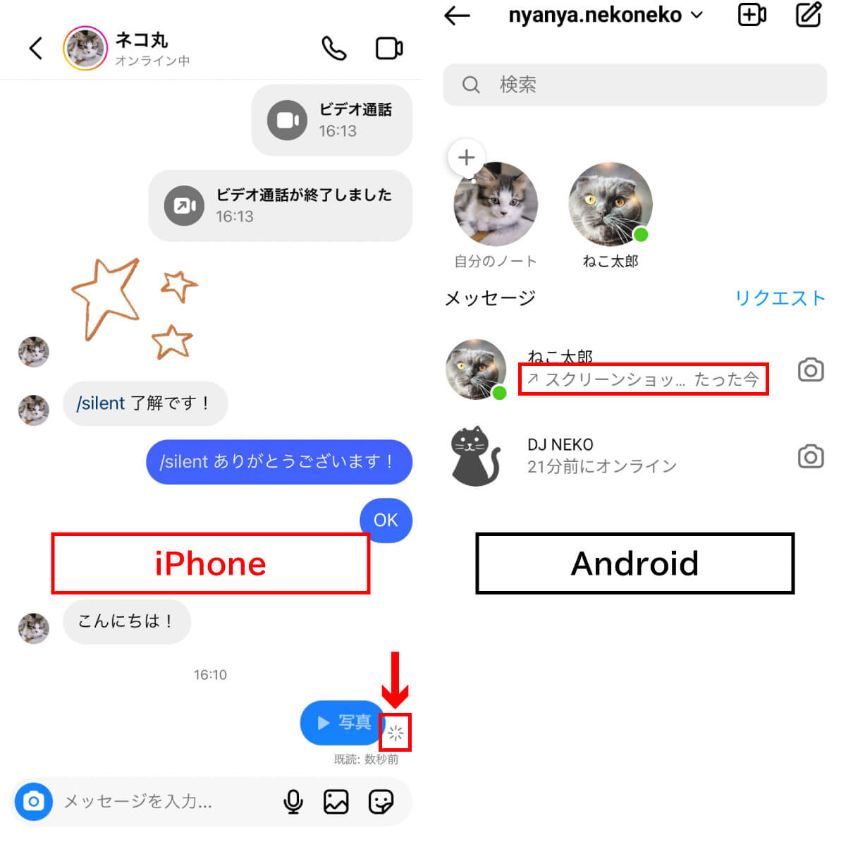 個別送信されたストーリーズ【iPhone/Android】1
