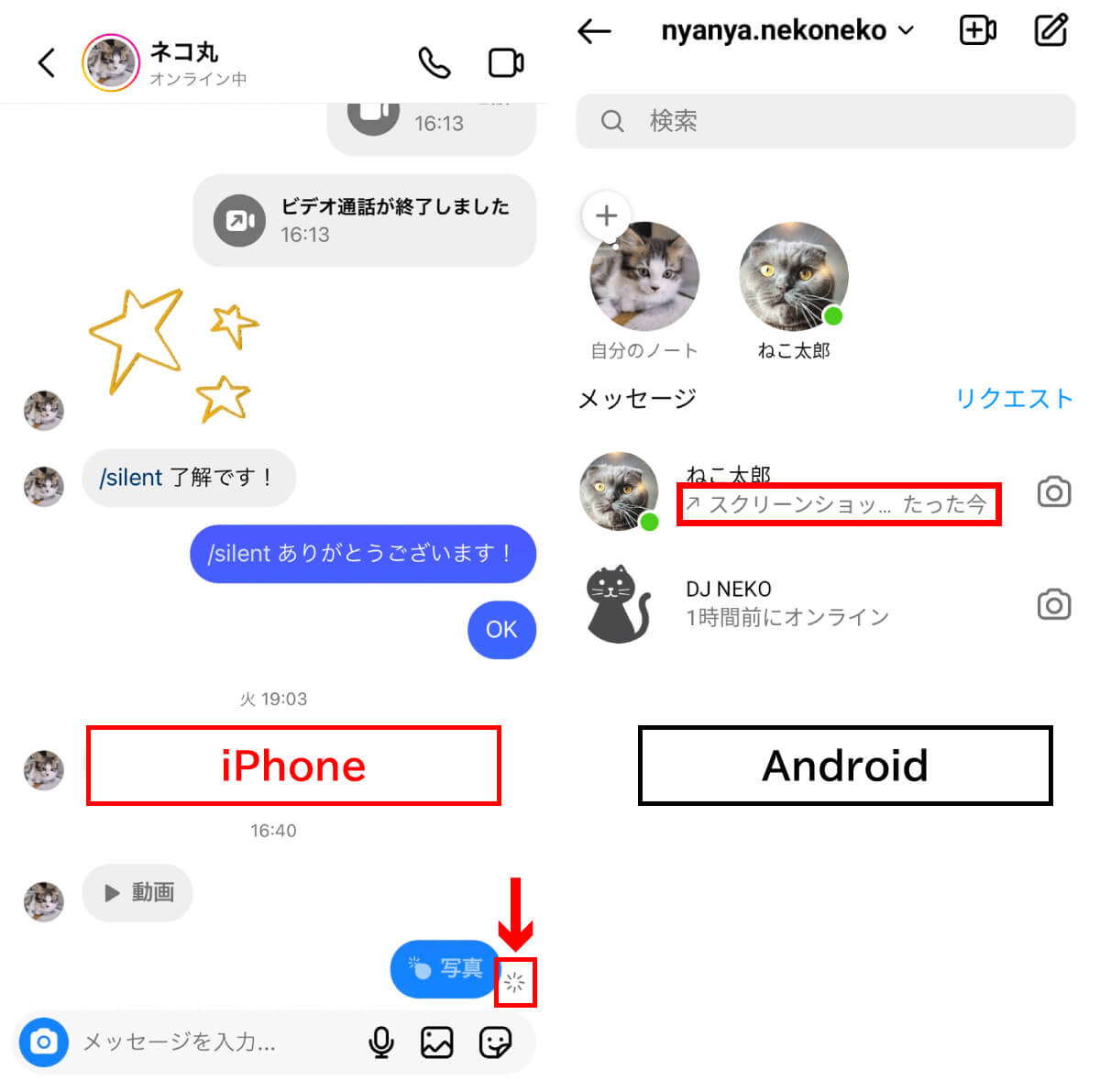 DM内の「消える写真・動画」【iPhone/Android】2