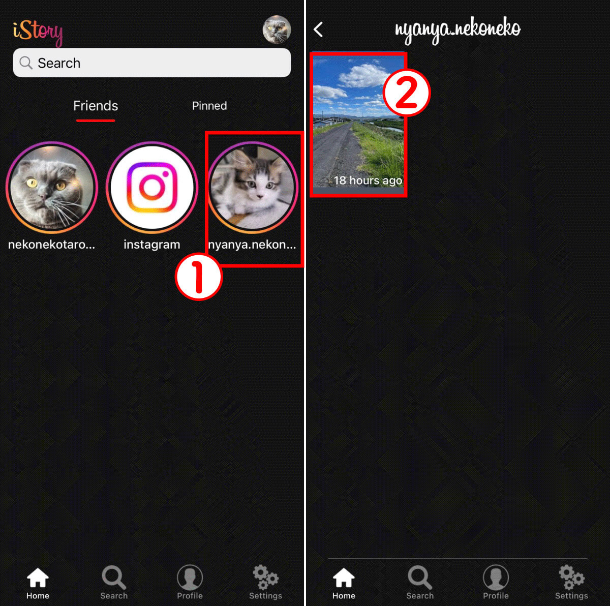 【iPhone】iStory for Instagram1