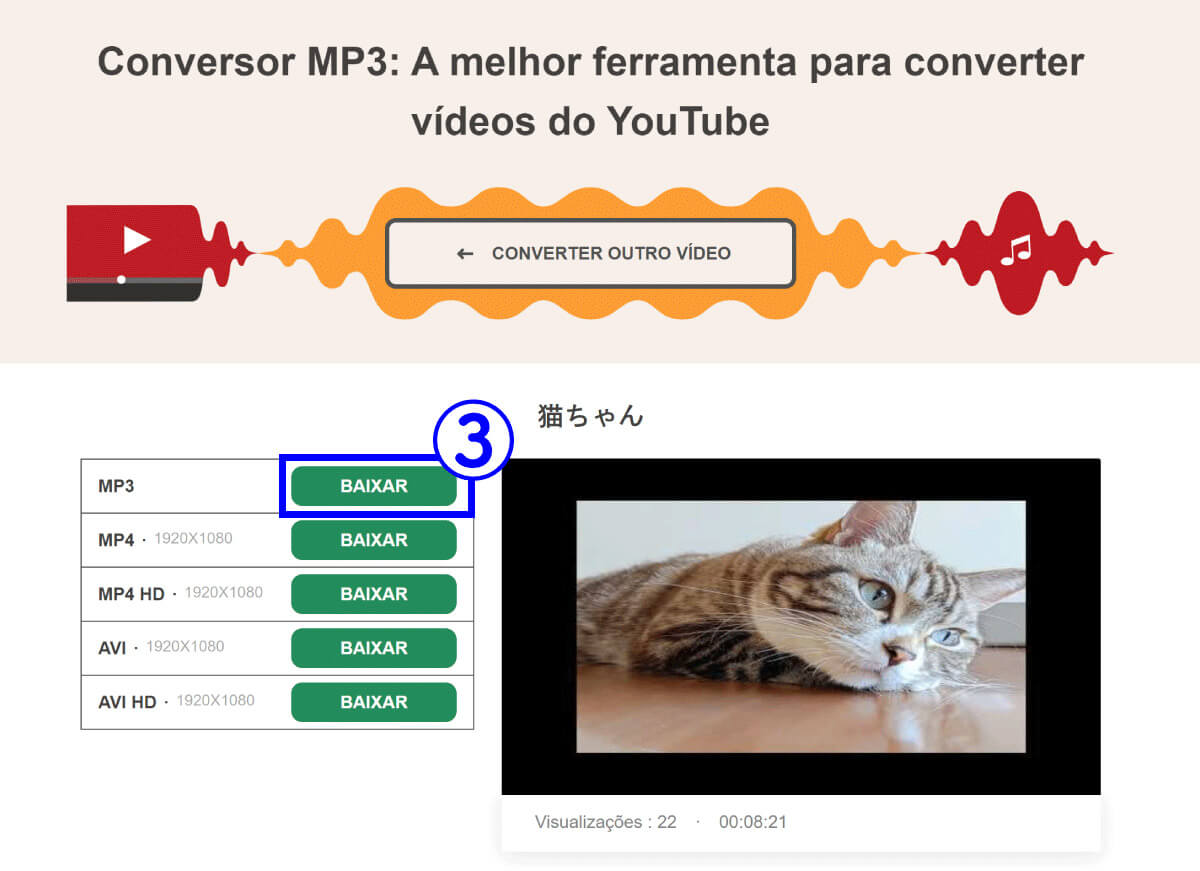 video-to-mp3-converter.com2