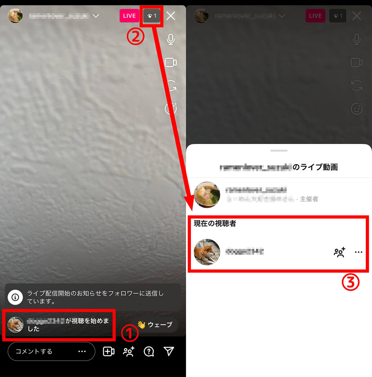 インスタライブの閲覧