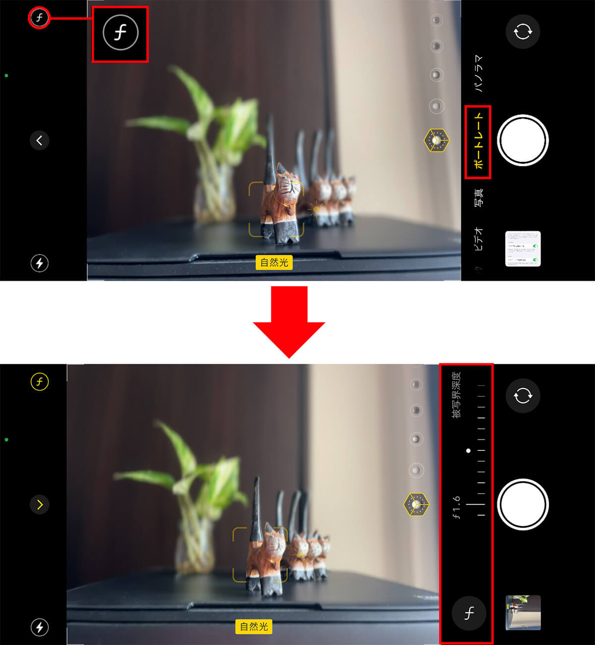 【5】カメラアプリで「写真のボケ」を調整できる！【iOS 17】1