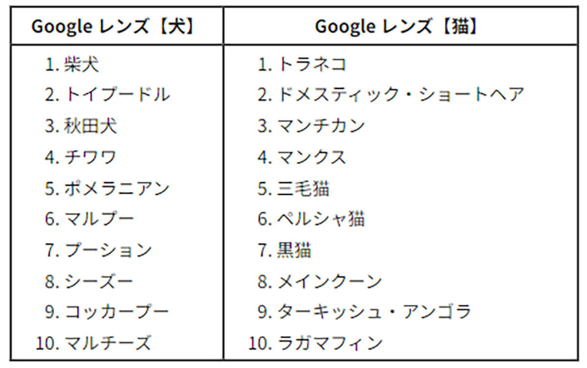 「2023年日本国内検索ランキング」Googleレンズ犬、猫