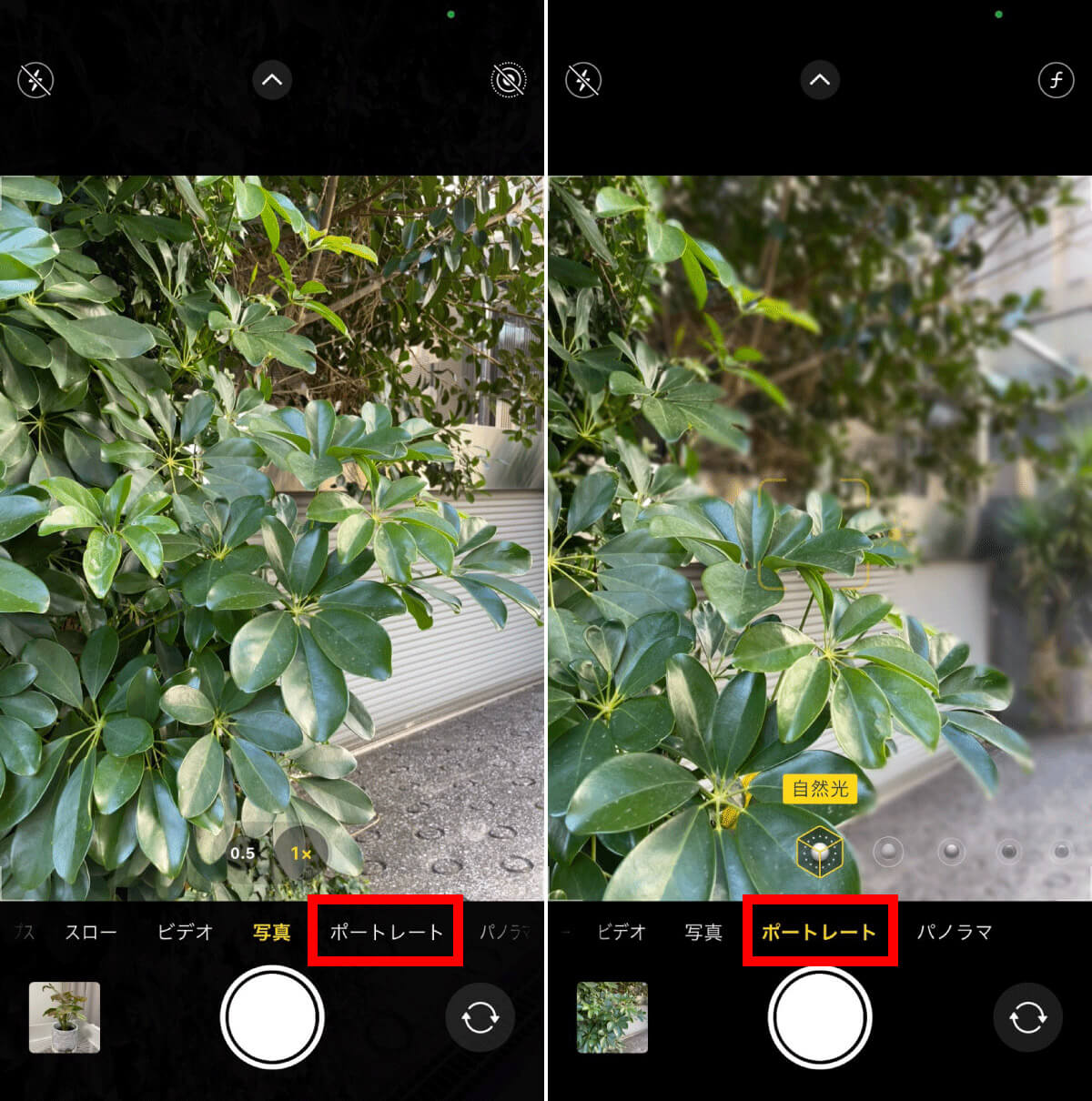 iPhoneの「ポートレートモード」で写真を撮影する方法1