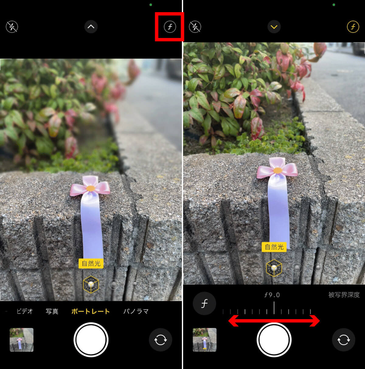 iPhoneの「ポートレートモード」で写真を撮影する方法1