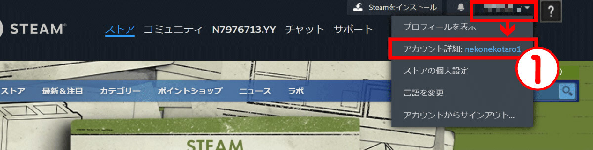 Steamで「カート内のアイテムに対してアカウント上に保留中のお取引があるため、このお取引を完了することができません」と表示されたときは？1