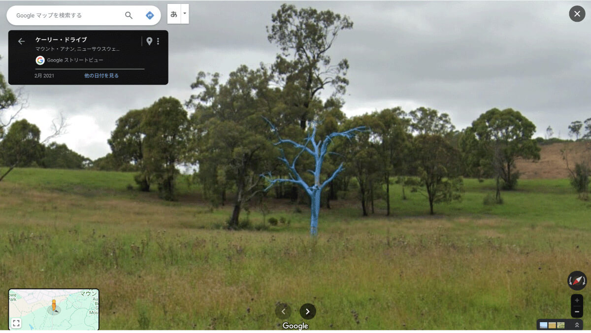 青い木（オーストラリア）｜真っ青に塗られた枯れた木1