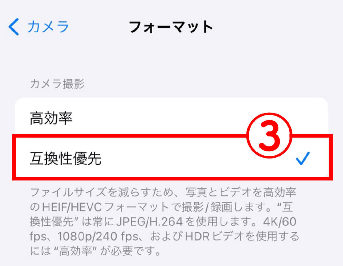 iPhoneでJPEG形式で撮影するのもおすすめ5