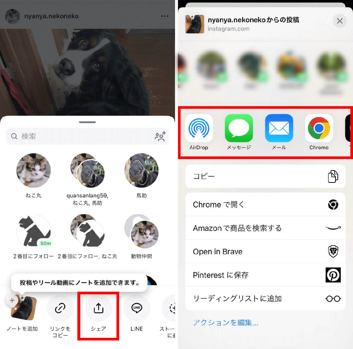 【徹底ガイド】Instagramの「共有（シェア）」はどのボタン？操作方法/使い方1