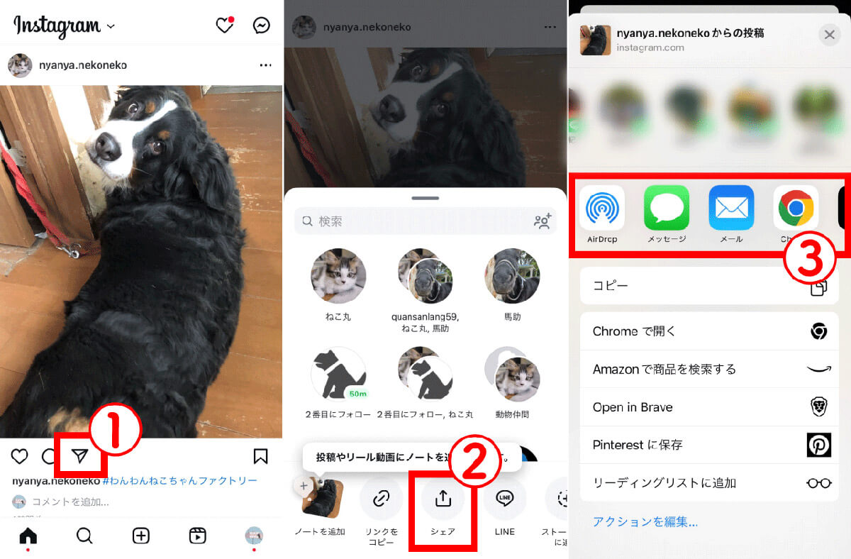 インスタの共有ボタンの場所 | フィードをシェアする方法1