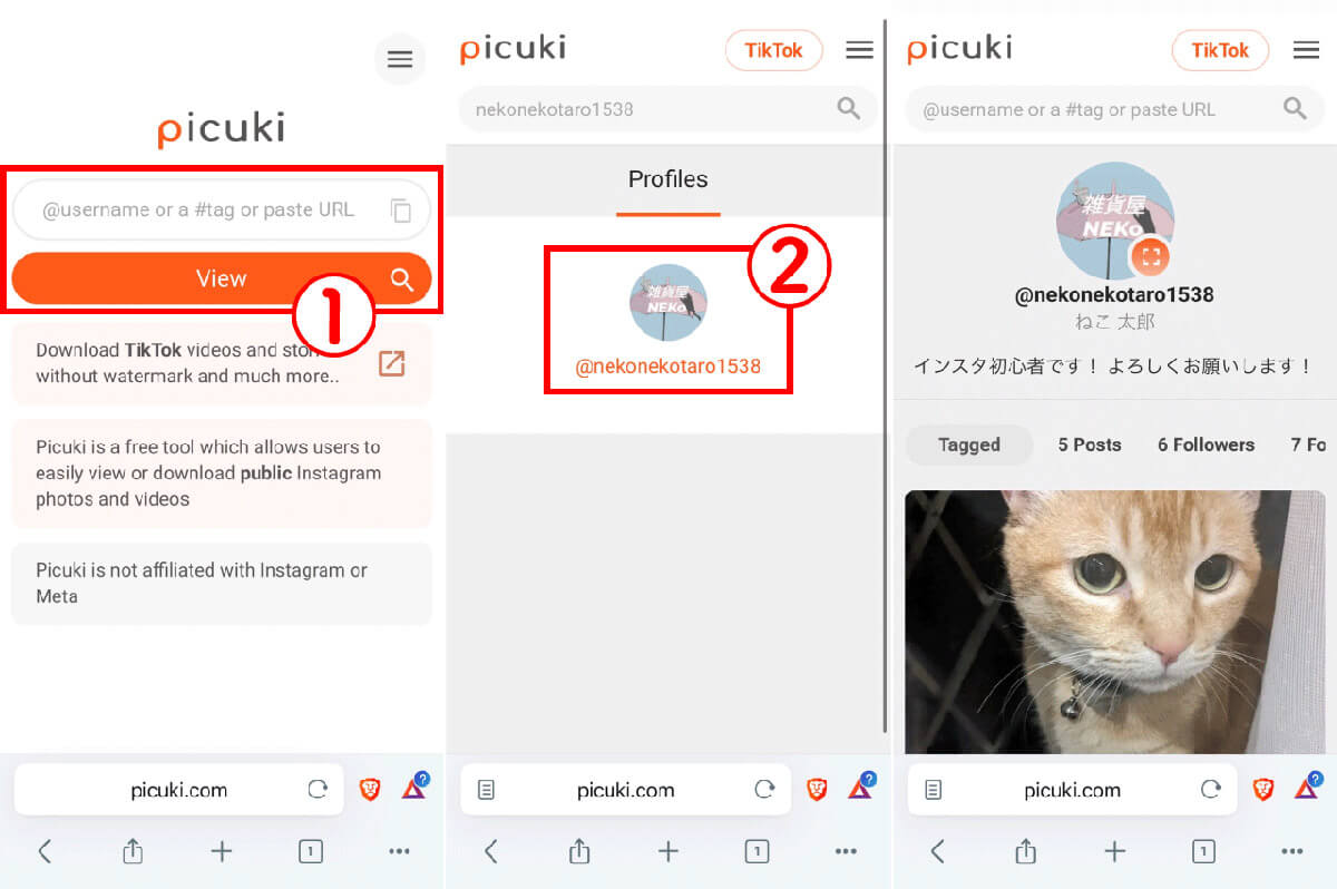 Picuki1