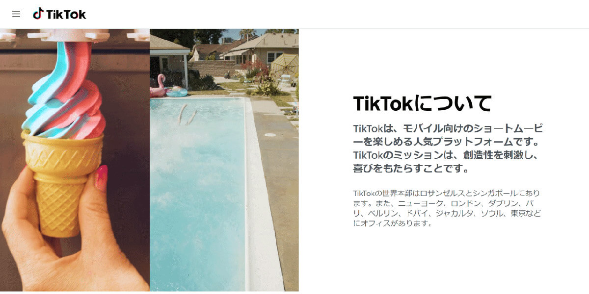 TikTok：利用率28.4%（総務省調べ）1