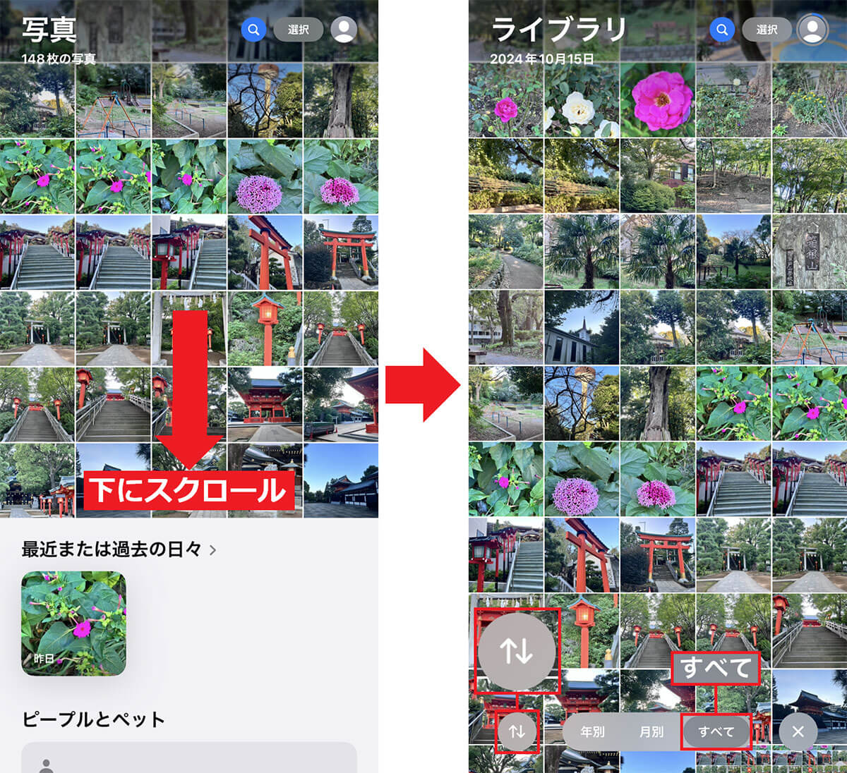 「写真」アプリで新しい写真を表示する手順（iOS 18）1